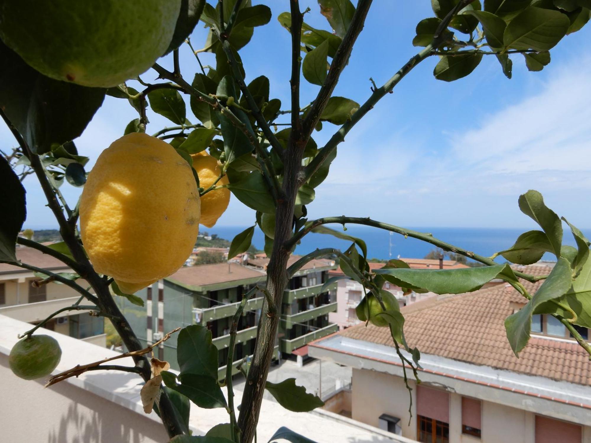 Middle Town Palace Tropea Zewnętrze zdjęcie